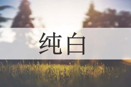 纯白