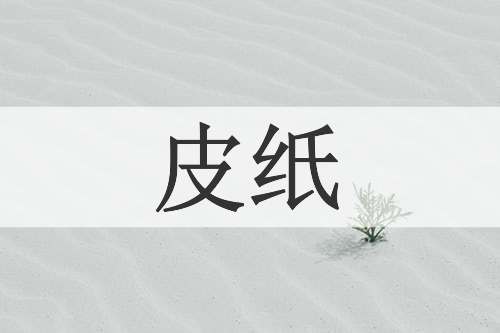 皮纸