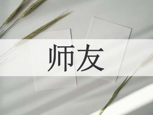 师友