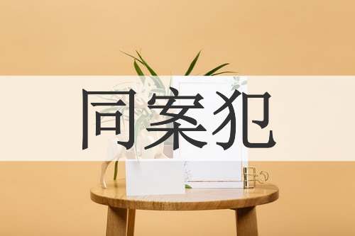 同案犯