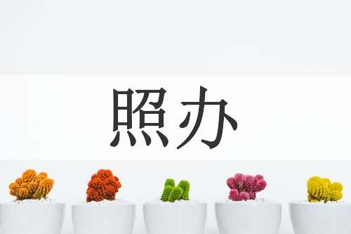 照办