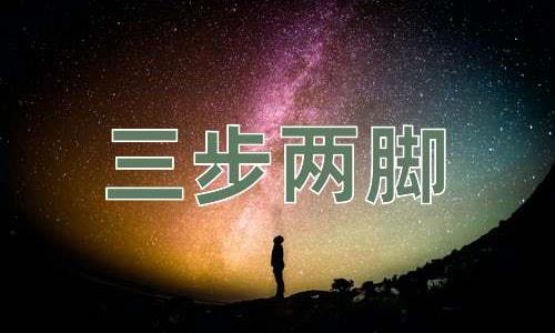 成语三步两脚