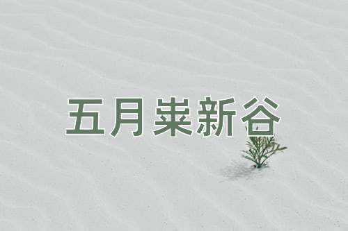 成语五月粜新谷