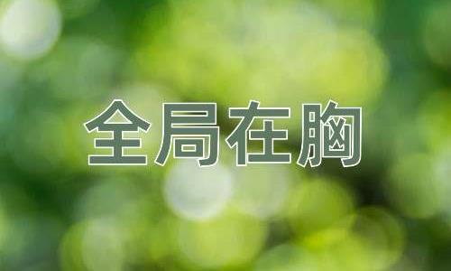 成语全局在胸