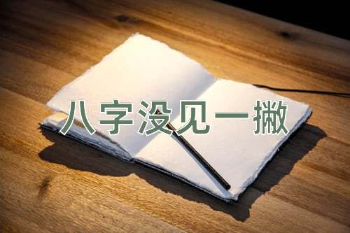 成语八字没见一撇