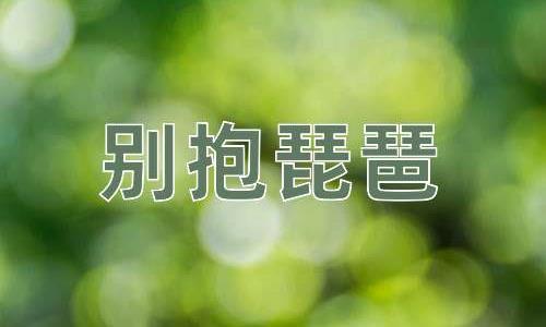 成语别抱琵琶