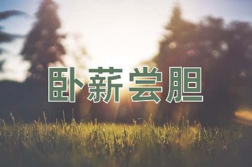 成语卧薪尝胆