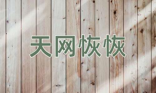 成语天网恢恢