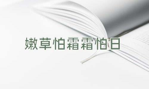 成语嫩草怕霜霜怕日