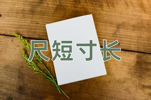 成语尺短寸长