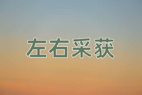 成语左右采获