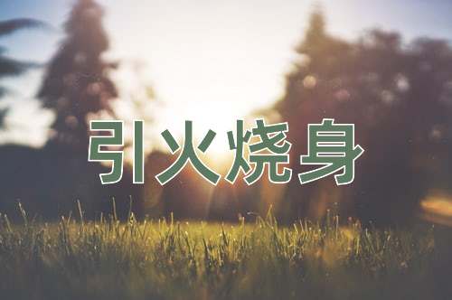 成语引火烧身