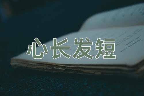 成语心长发短