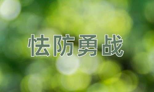 成语怯防勇战