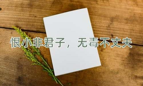 成语恨小非君子，无毒不丈夫