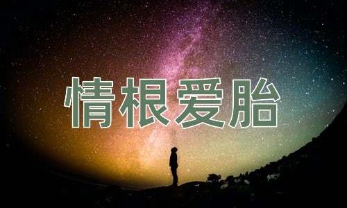 成语情根爱胎