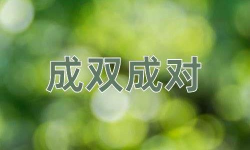 成语成双成对