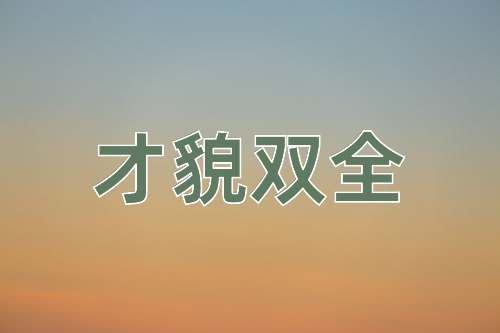 成语才貌双全