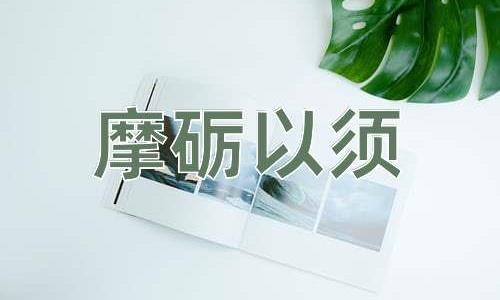 成语摩砺以须