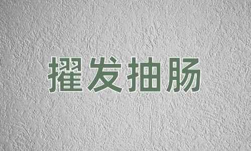 成语擢发抽肠