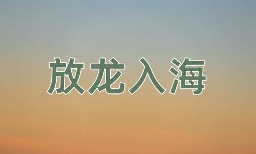 成语放龙入海