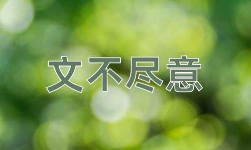 成语文不尽意