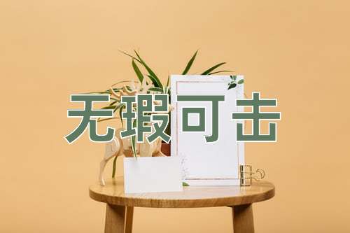 成语无瑕可击