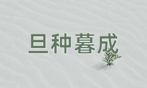 成语旦种暮成