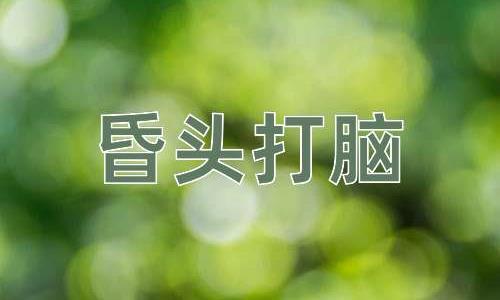 成语昏头打脑