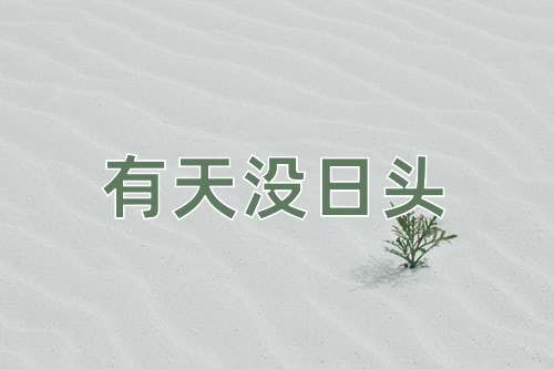 成语有天没日头