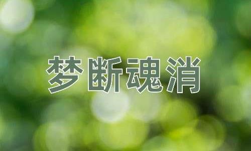 成语梦断魂消