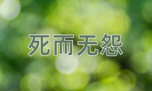 成语死而无怨