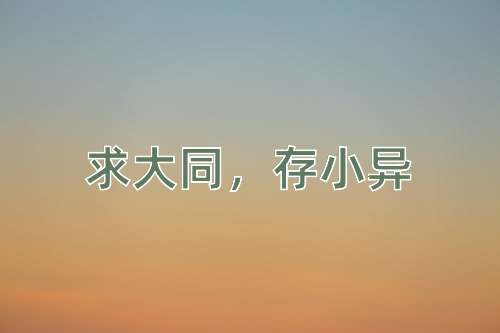 成语求大同，存小异