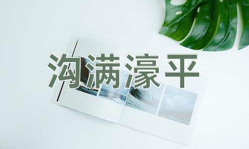 成语沟满濠平