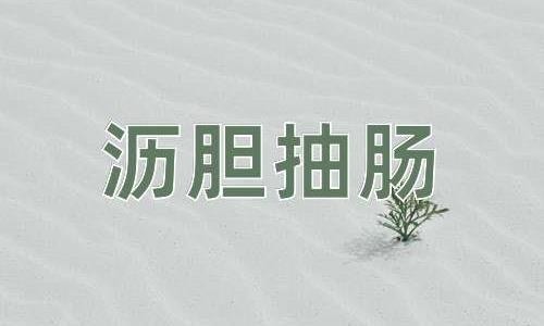 成语沥胆抽肠