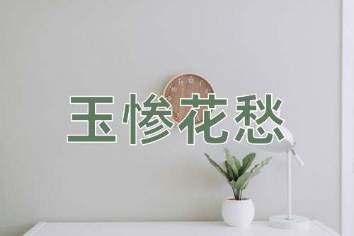 成语玉惨花愁