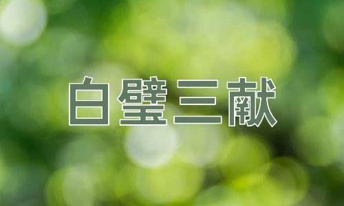 成语白璧三献