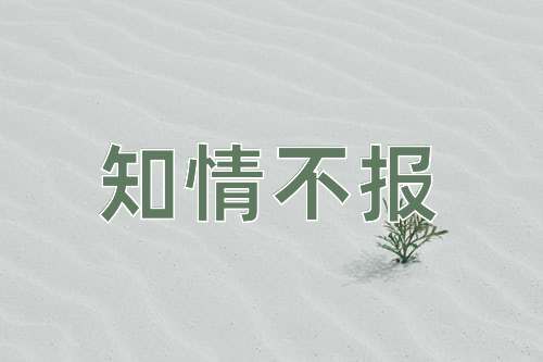 成语知情不报