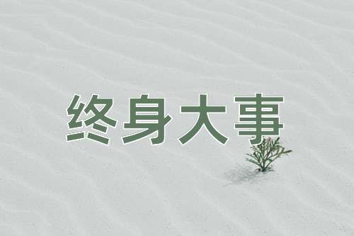 成语终身大事