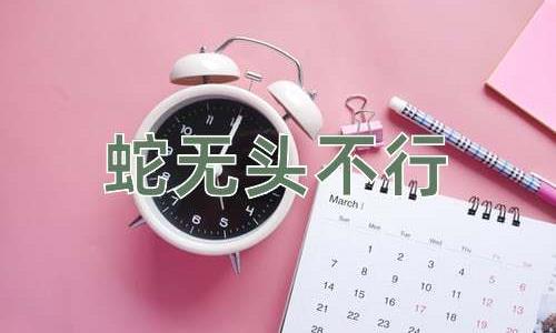 成语蛇无头不行