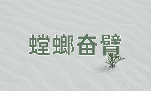 成语螳螂奋臂