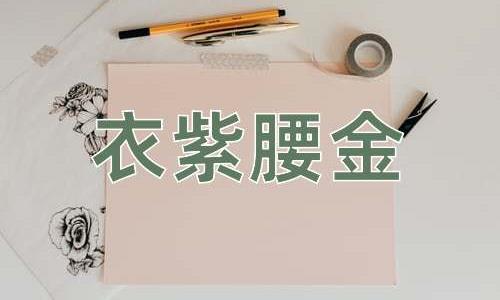 成语衣紫腰金