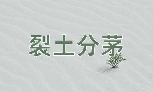 成语裂土分茅