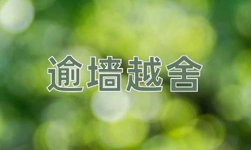 成语逾墙越舍