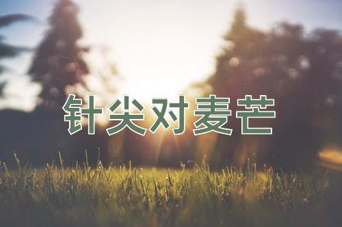 成语针尖对麦芒