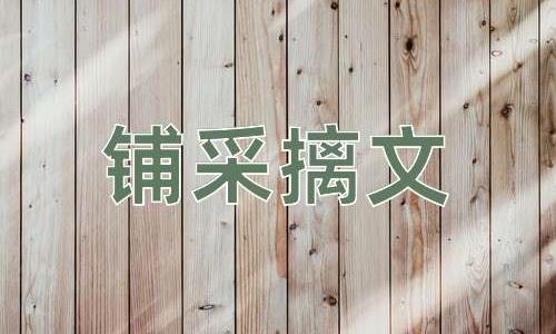 成语铺采摛文