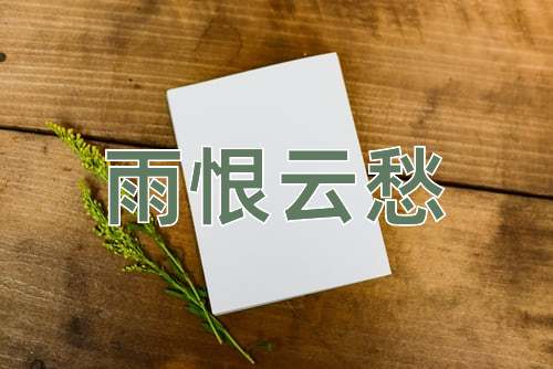 成语雨恨云愁