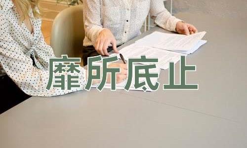 成语靡所底止