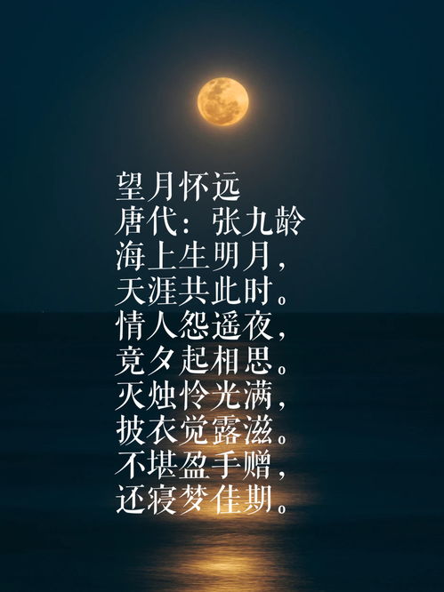 和秋夜有关的诗词