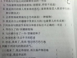 表达迷惑的诗词